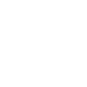 Bulls_Logo_sehr_klein